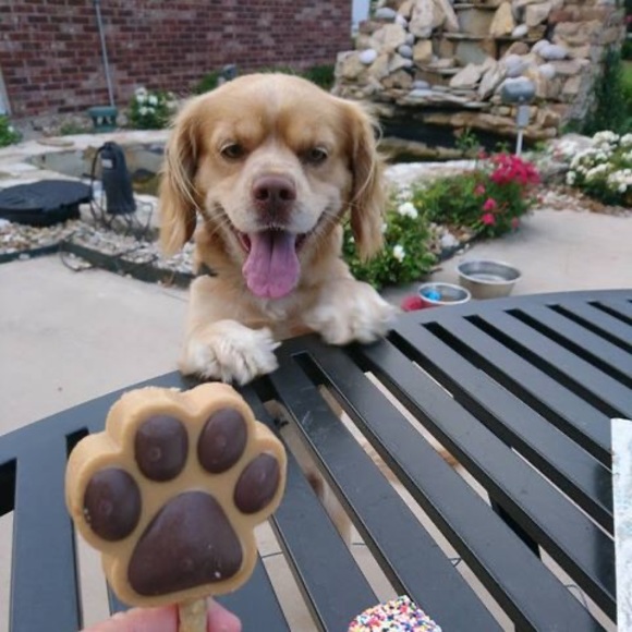 Meet your Posher, Max - Picture 1 of 1